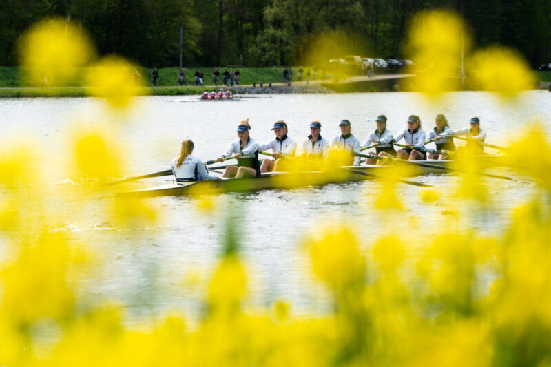 Velden op roeievenementen